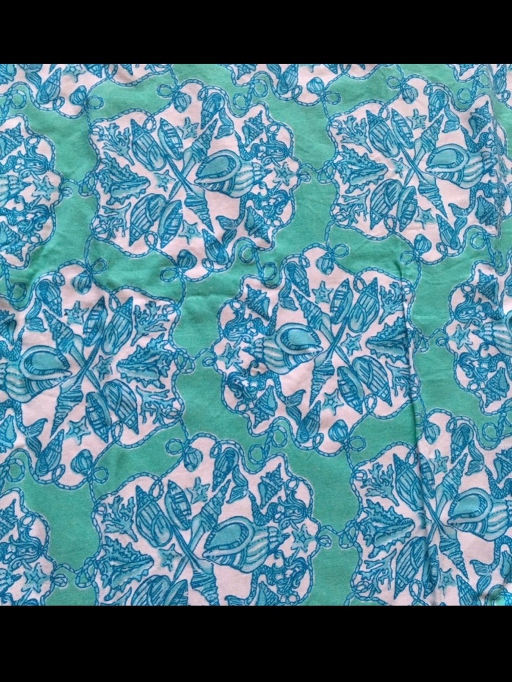 Lilly Pulitzer Blue and White Patterned Fabric
